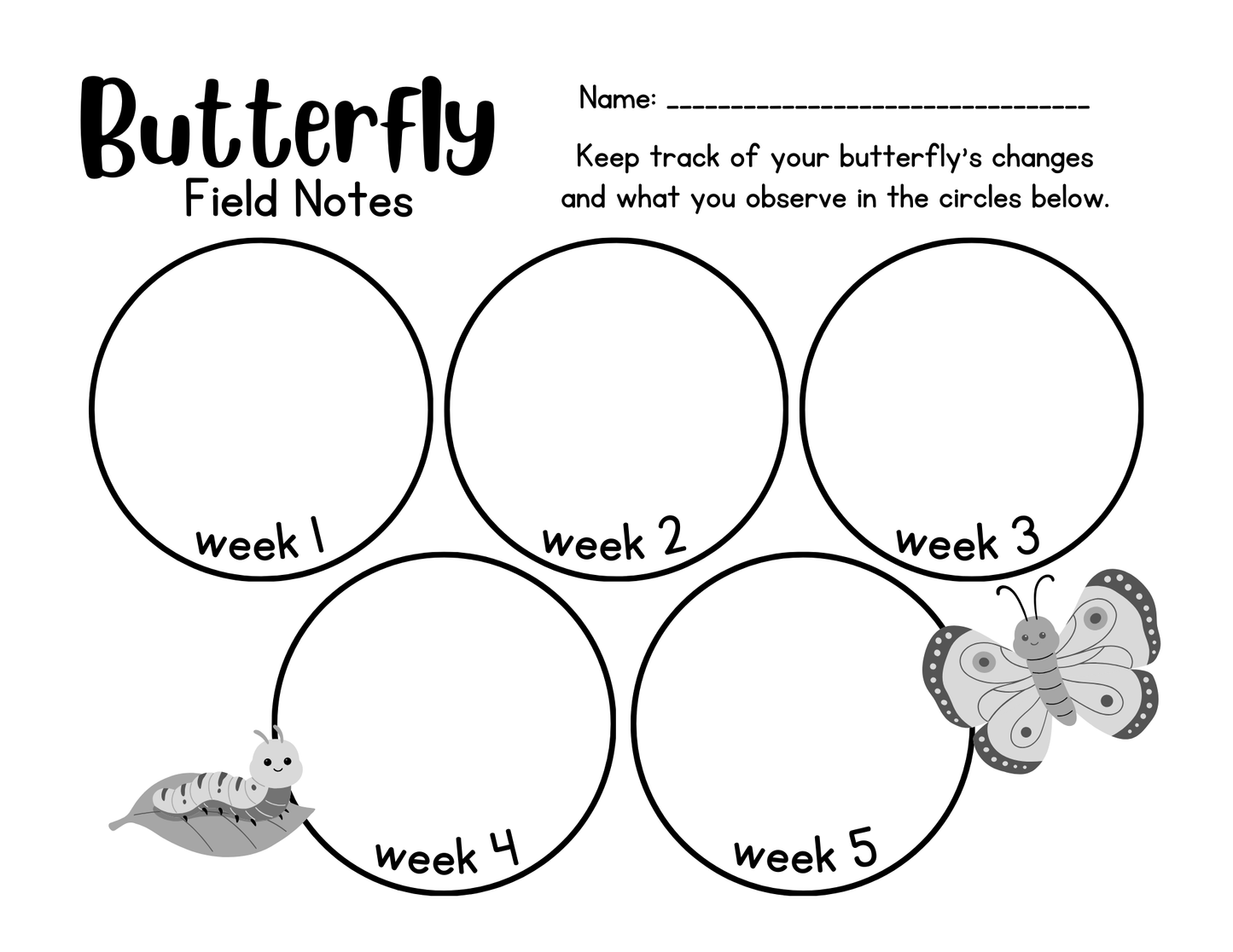 Butterfly Observation Worksheet