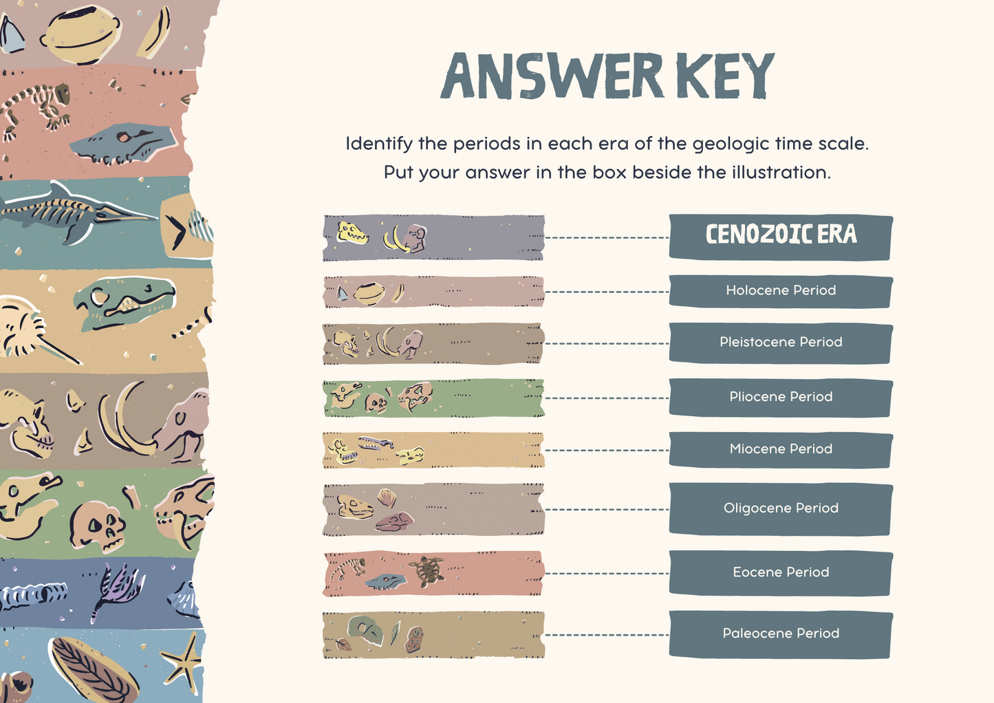 Geologic Time Scale Worksheet