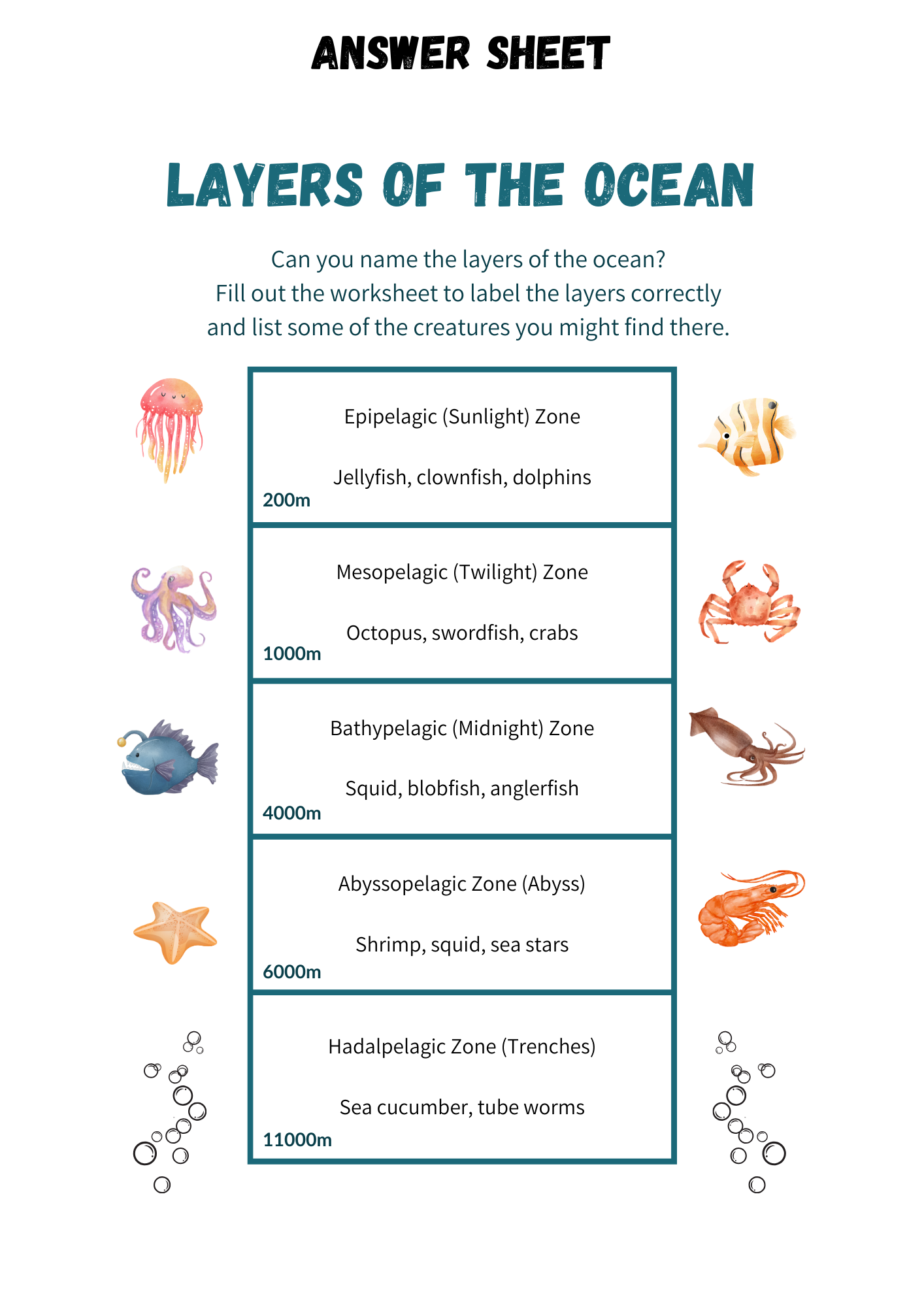 Ocean Layers and Ecosystems Worksheets