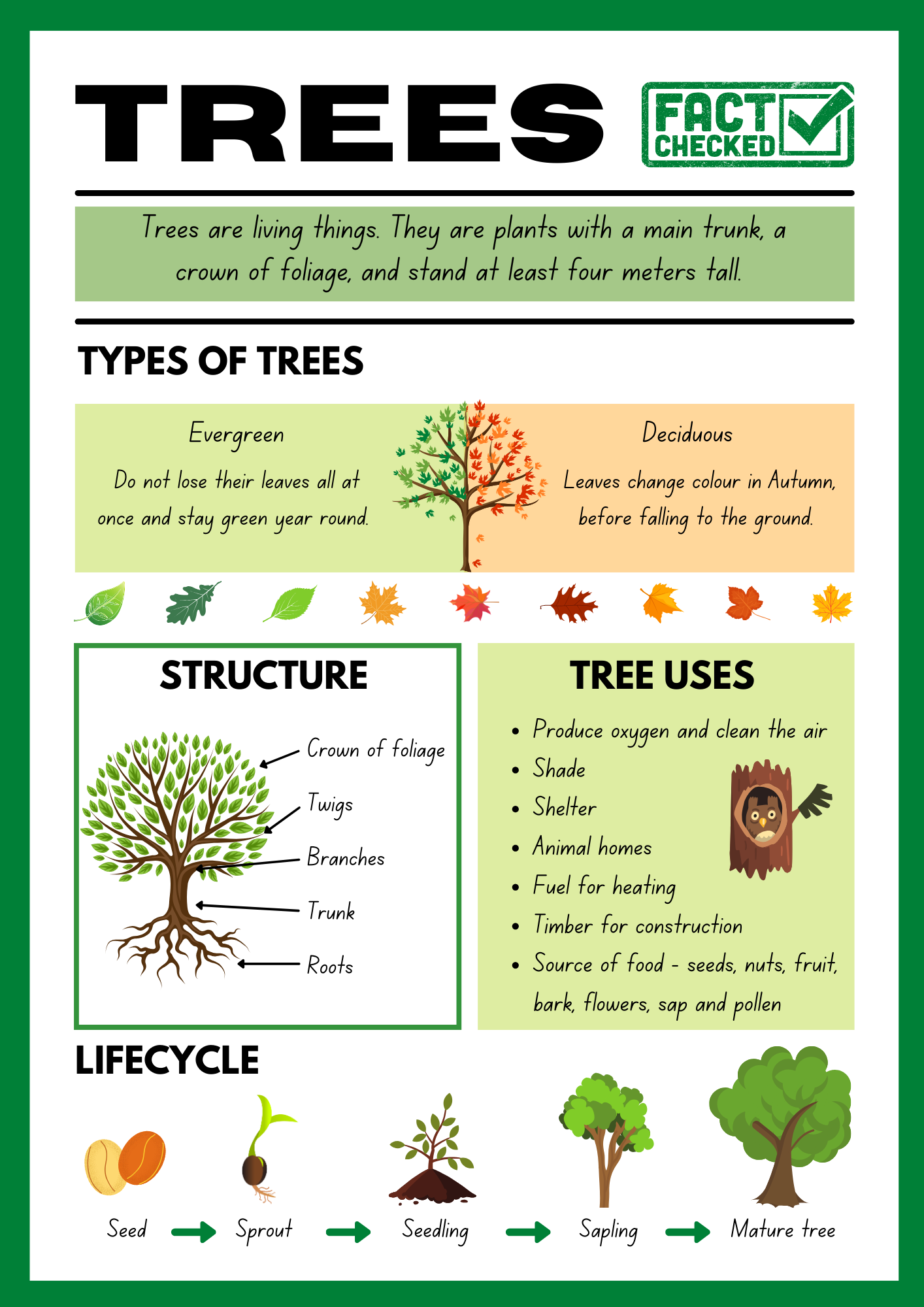 Tree Fact File Worksheet