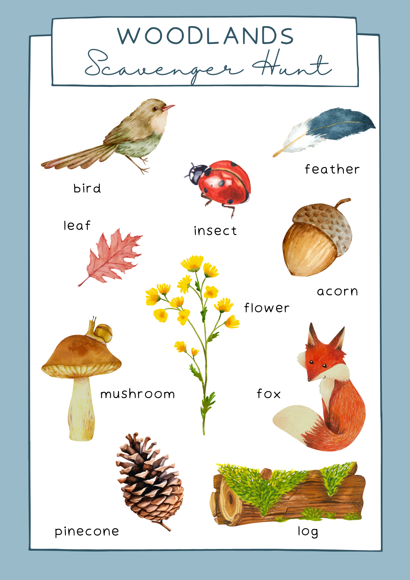 Woodlands Scavenger Hunt Worksheet