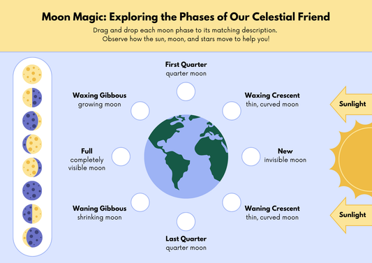 Phases of the Moon Worksheet