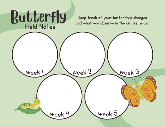 Butterfly Observation Worksheet