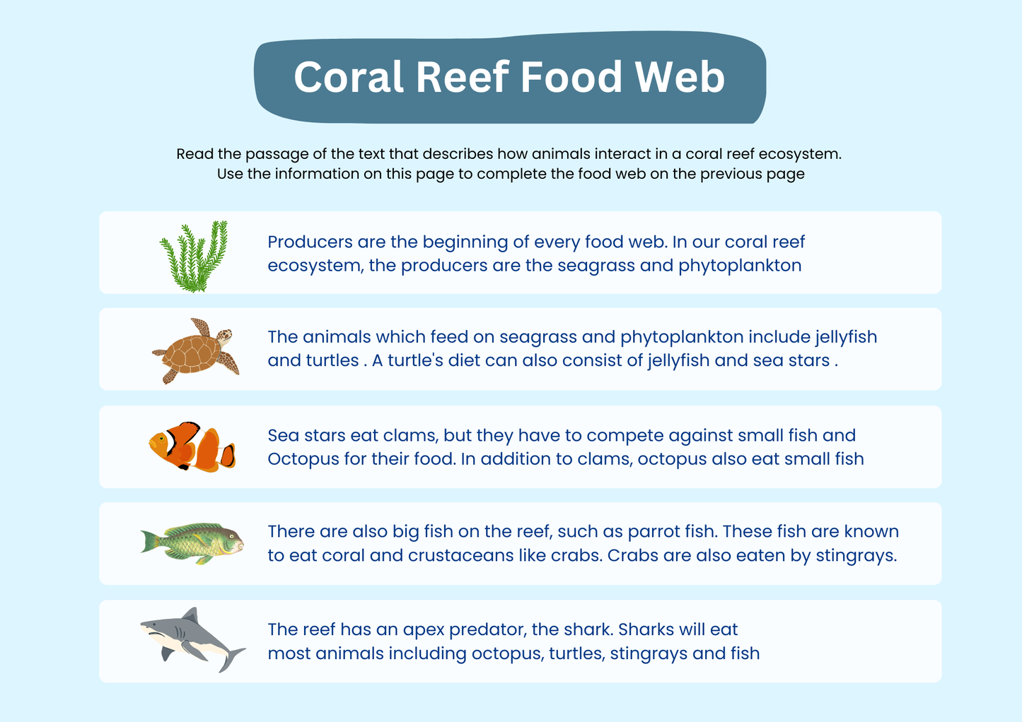 Coral Reef Food Web Worksheet