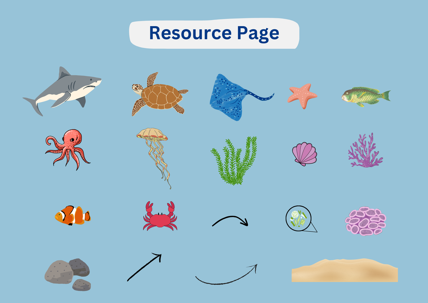 Coral Reef Food Web Worksheet