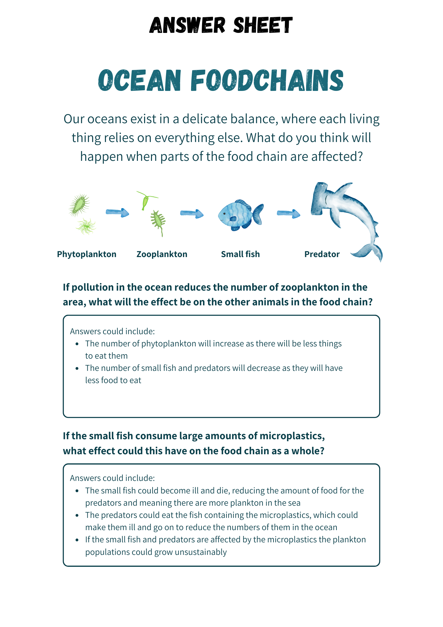 Ocean Layers and Ecosystems Worksheets