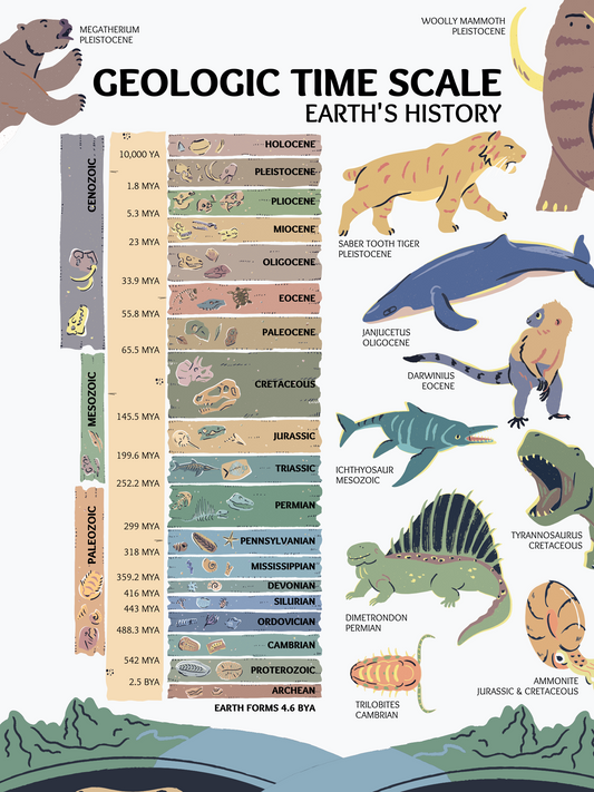 Geologic Time Scale Poster of Earth's History