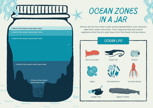 Ocean Zones in a Jar Worksheet