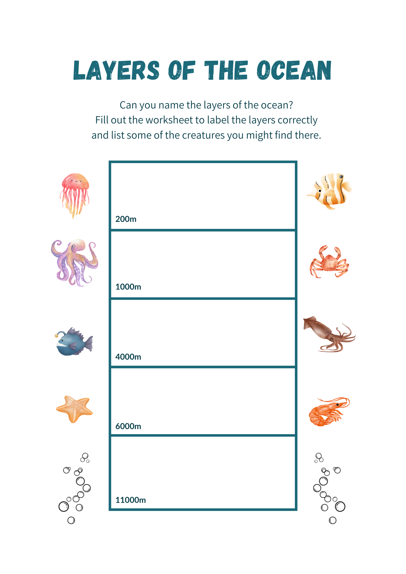 Ocean Layers and Ecosystems Worksheets