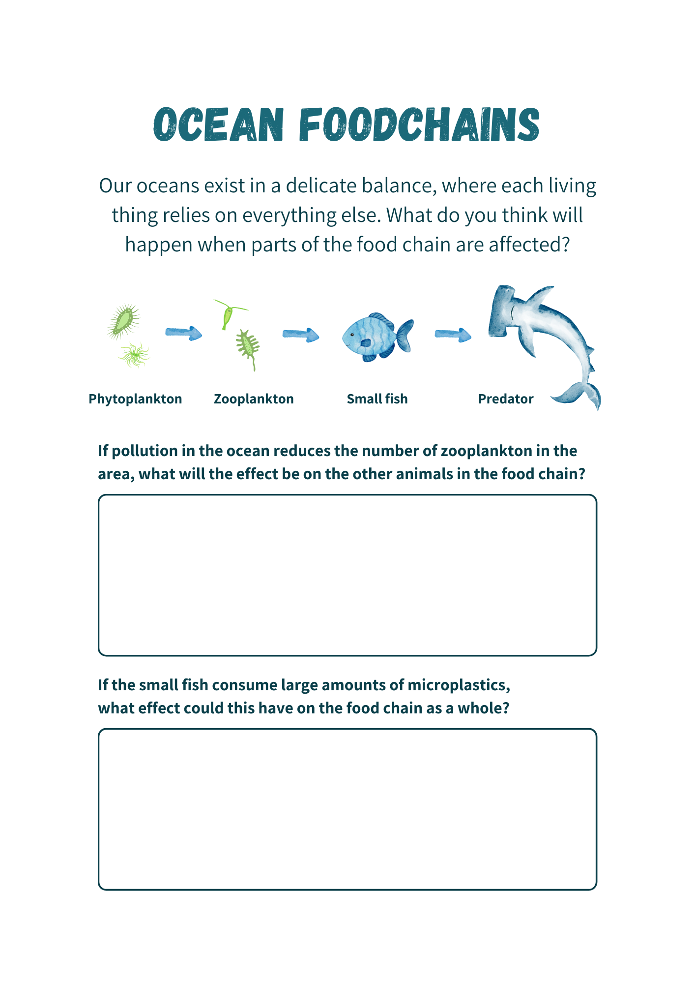 Ocean Layers and Ecosystems Worksheets